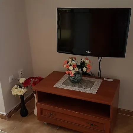 Tashevi Apartment *
