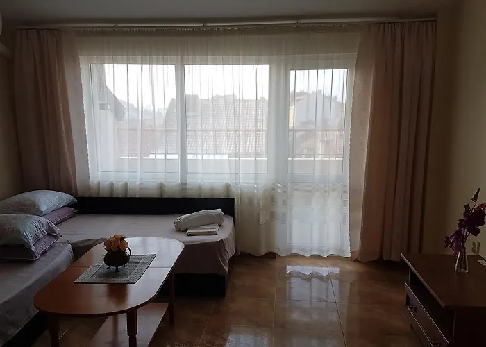 Apartment Tashevi *